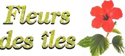 Bouquets de fleurs près de Sainte-Geneviève-des-Bois