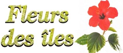 Bouquets de fleurs près de Sainte-Geneviève-des-Bois